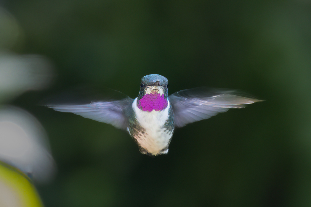 KYP_7137-3-Edit