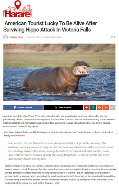 20260803-iharare.com_