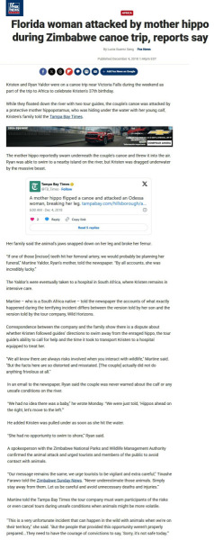 20260810-foxnews.com_