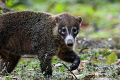 RYP_3817-Edit